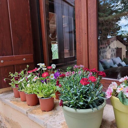 Εν Αρχή - En Arhi Villa Ano Trikala Ngoại thất bức ảnh