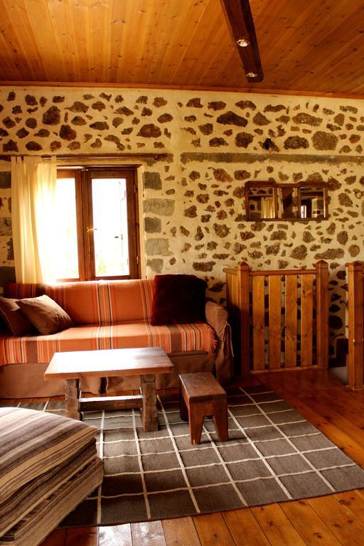 Εν Αρχή - En Arhi Villa Ano Trikala Phòng bức ảnh