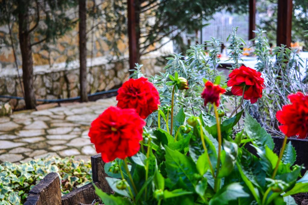Εν Αρχή - En Arhi Villa Ano Trikala Ngoại thất bức ảnh